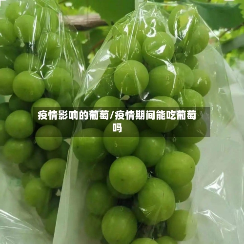 疫情影响的葡萄/疫情期间能吃葡萄吗-第2张图片