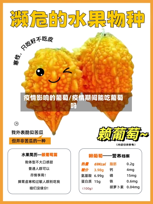 疫情影响的葡萄/疫情期间能吃葡萄吗