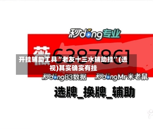 开挂辅助工具“老友十三水辅助挂”(透视)其实确实有挂