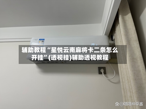 辅助教程“星悦云南麻将卡二条怎么开挂	”(透视挂)辅助透视教程-第2张图片