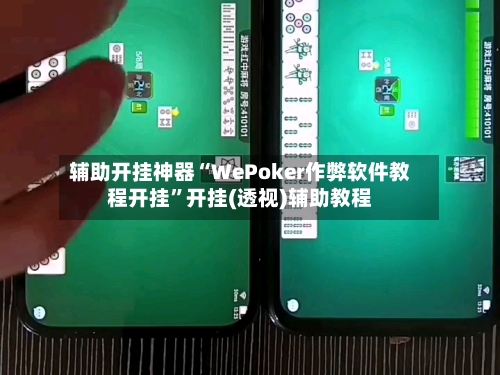 辅助开挂神器“WePoker作弊软件教程开挂	”开挂(透视)辅助教程-第2张图片