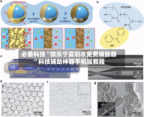 必备科技“微乐宁夏划水免费辅助器”科技辅助神器手机版教程