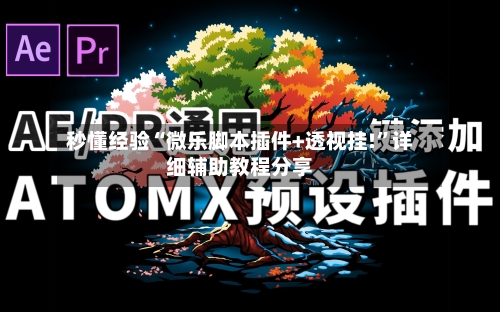 秒懂经验“微乐脚本插件+透视挂!”详细辅助教程分享