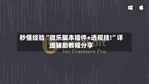 秒懂经验“微乐脚本插件+透视挂!	”详细辅助教程分享-第3张图片