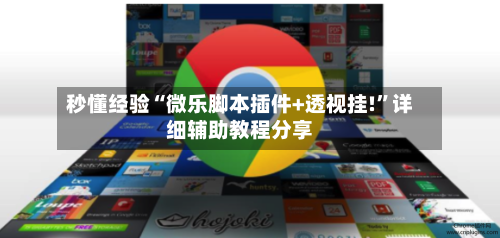 秒懂经验“微乐脚本插件+透视挂!”详细辅助教程分享-第2张图片