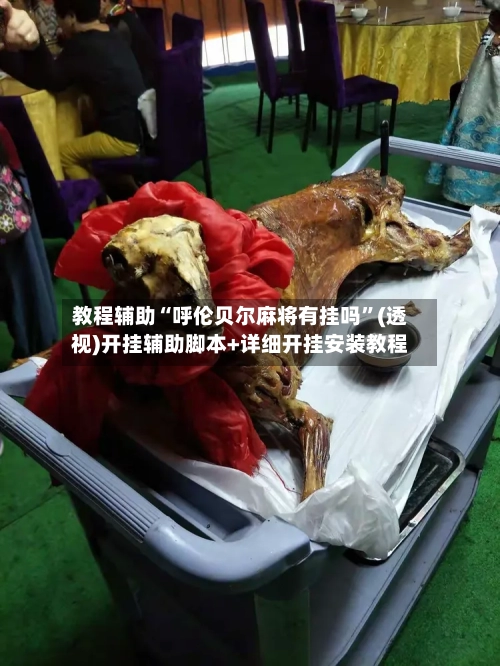 教程辅助“呼伦贝尔麻将有挂吗”(透视)开挂辅助脚本+详细开挂安装教程