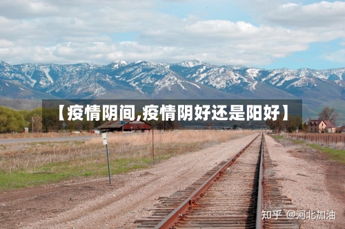 【疫情阴间,疫情阴好还是阳好】-第2张图片