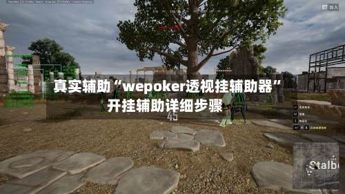 真实辅助“wepoker透视挂辅助器	”开挂辅助详细步骤-第2张图片