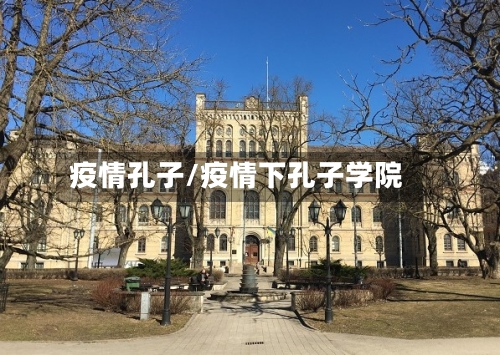 疫情孔子/疫情下孔子学院