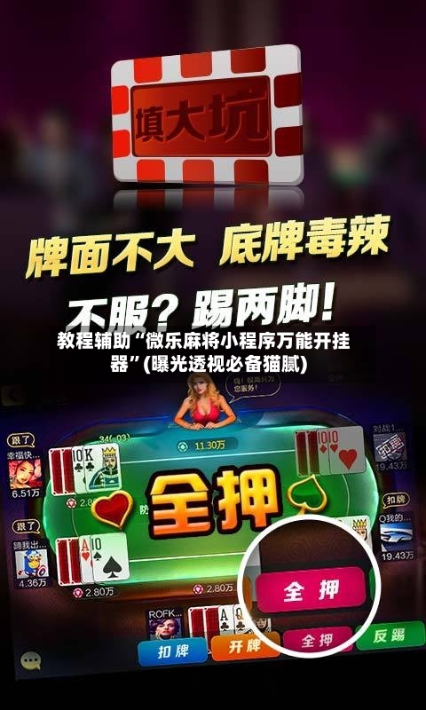 教程辅助“微乐麻将小程序万能开挂器”(曝光透视必备猫腻)-第3张图片