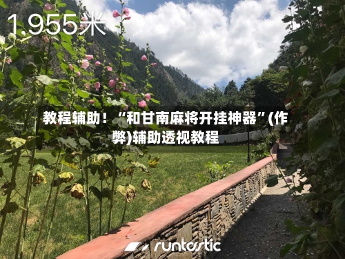 教程辅助！“和甘南麻将开挂神器”(作弊)辅助透视教程