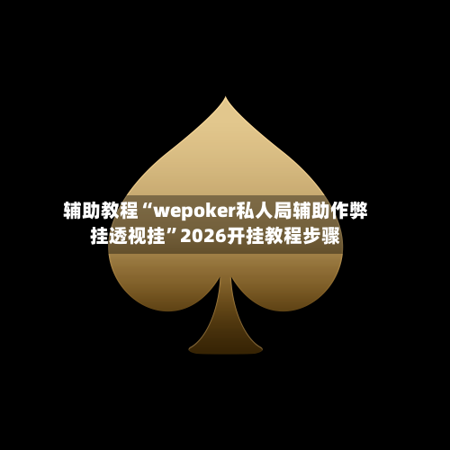辅助教程“wepoker私人局辅助作弊挂透视挂”2026开挂教程步骤