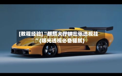 [教程经验]“麒麟大厅拼三张透视挂”(曝光透视必备猫腻)