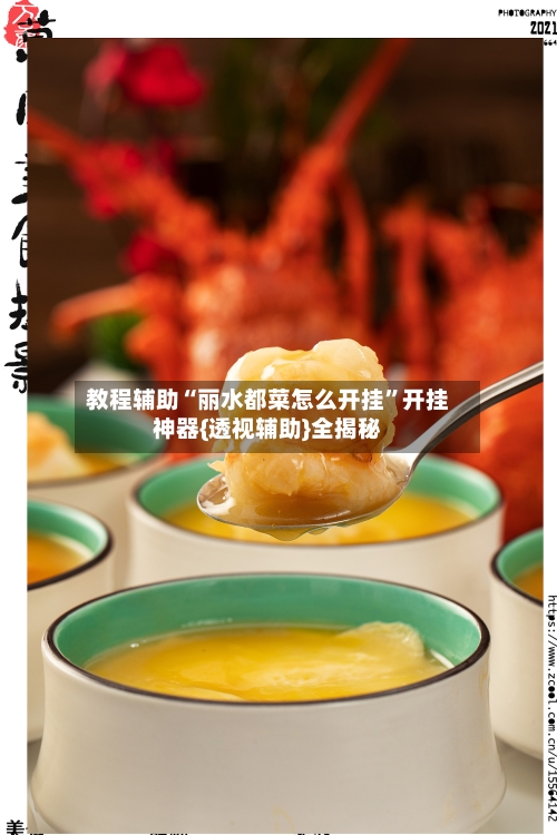 教程辅助“丽水都菜怎么开挂”开挂神器{透视辅助}全揭秘-第2张图片