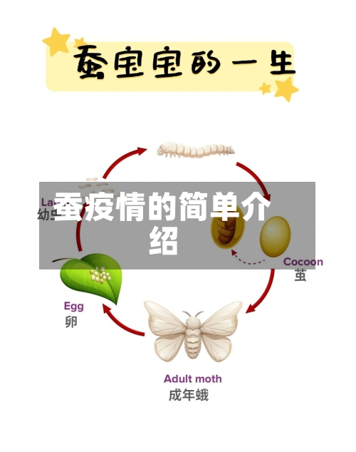 蚕疫情的简单介绍