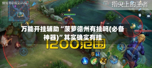 万能开挂辅助“菠萝德州有挂吗(必备神器)”其实确实有挂-第3张图片