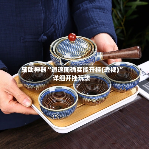 辅助神器“逍遥阁确实能开挂(透视)”详细开挂玩法