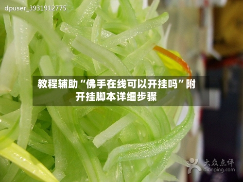 教程辅助“佛手在线可以开挂吗”附开挂脚本详细步骤