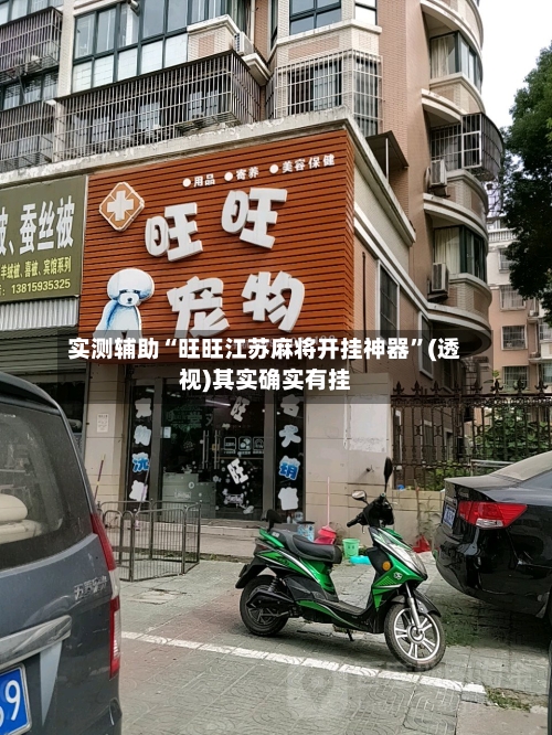 实测辅助“旺旺江苏麻将开挂神器”(透视)其实确实有挂