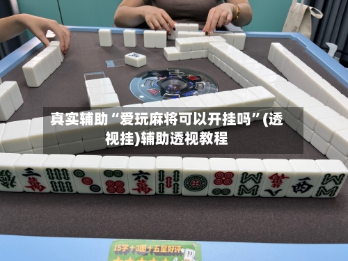 真实辅助“爱玩麻将可以开挂吗”(透视挂)辅助透视教程