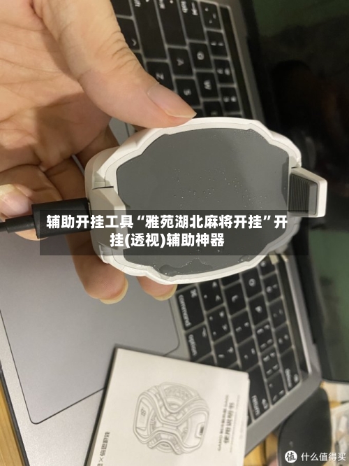 辅助开挂工具“雅苑湖北麻将开挂”开挂(透视)辅助神器