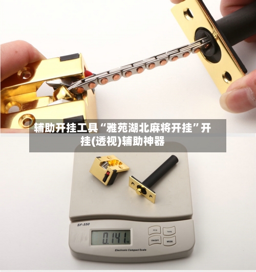 辅助开挂工具“雅苑湖北麻将开挂	”开挂(透视)辅助神器-第2张图片