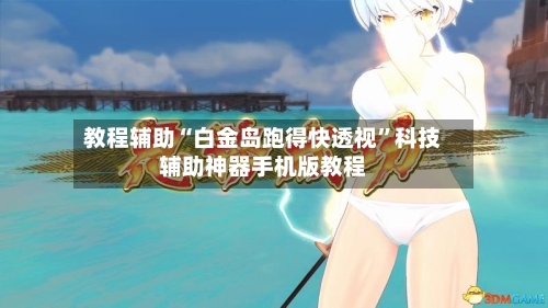 教程辅助“白金岛跑得快透视”科技辅助神器手机版教程-第2张图片