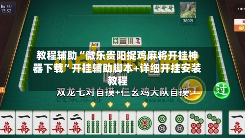 教程辅助“微乐贵阳捉鸡麻将开挂神器下载”开挂辅助脚本+详细开挂安装教程-第2张图片