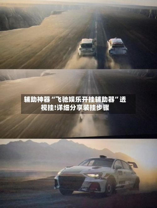 辅助神器“飞驰娱乐开挂辅助器”透视挂!详细分享装挂步骤-第3张图片