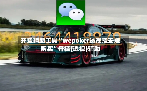 开挂辅助工具“wepoker透视挂安装购买”开挂(透视)辅助-第2张图片