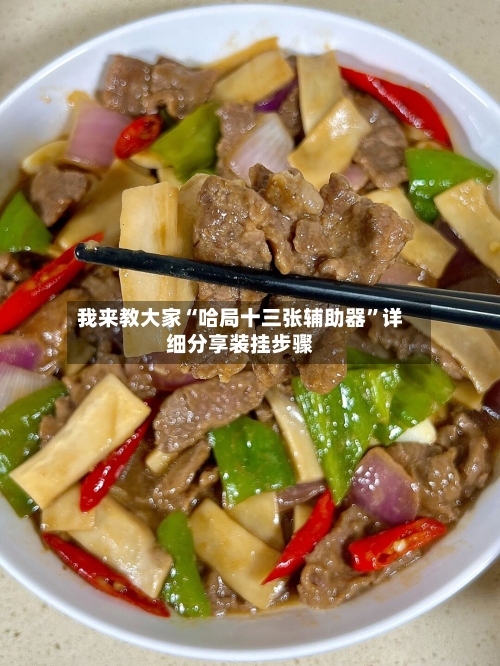 我来教大家“哈局十三张辅助器”详细分享装挂步骤