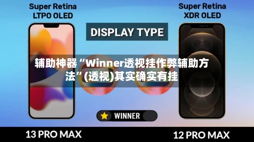 辅助神器“Winner透视挂作弊辅助方法”(透视)其实确实有挂