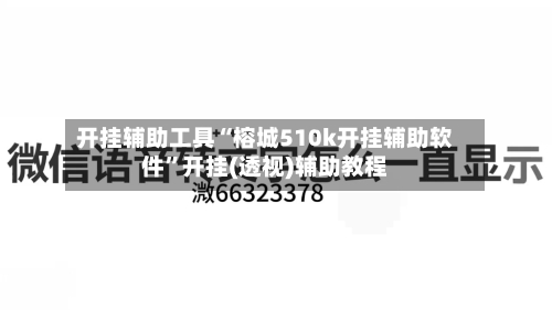 开挂辅助工具“榕城510k开挂辅助软件”开挂(透视)辅助教程