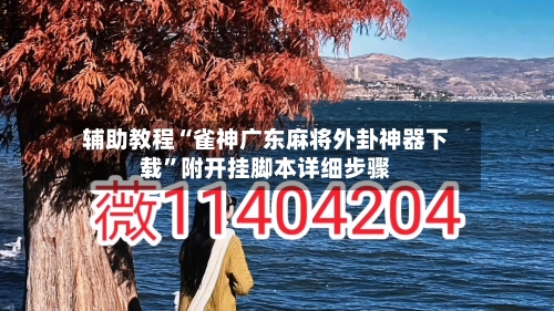 辅助教程“雀神广东麻将外卦神器下载”附开挂脚本详细步骤