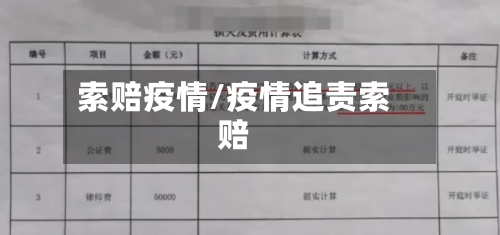 索赔疫情/疫情追责索赔