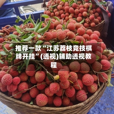 推荐一款“江苏荔枝竞技棋牌开挂”(透视)辅助透视教程-第3张图片