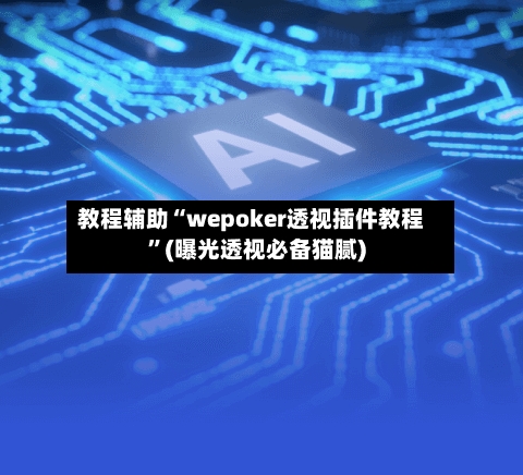 教程辅助“wepoker透视插件教程”(曝光透视必备猫腻)-第2张图片