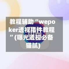 教程辅助“wepoker透视插件教程”(曝光透视必备猫腻)