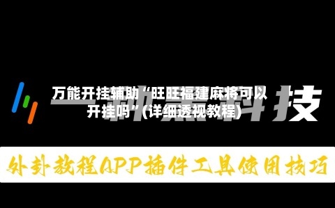 万能开挂辅助“旺旺福建麻将可以开挂吗”(详细透视教程)