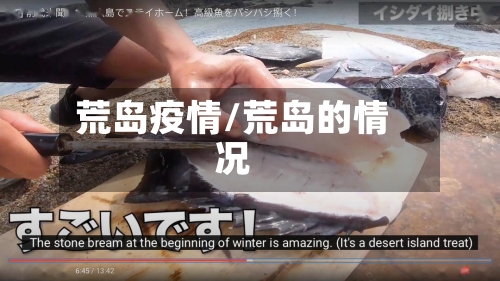荒岛疫情/荒岛的情况