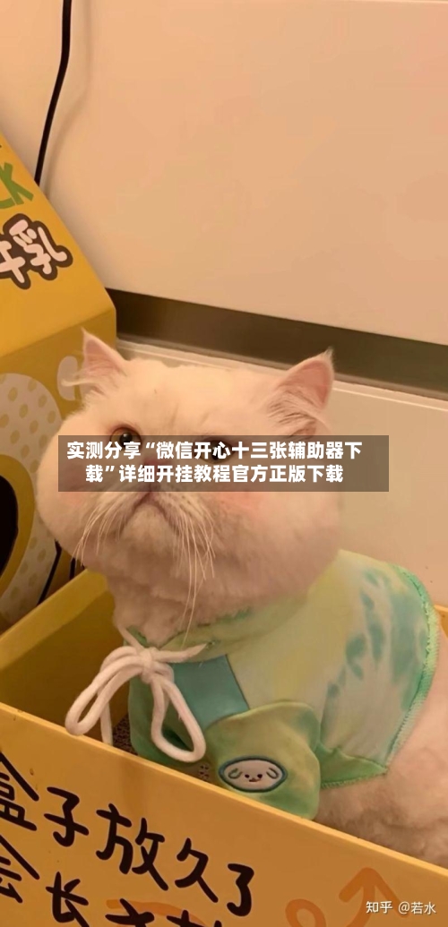 实测分享“微信开心十三张辅助器下载”详细开挂教程官方正版下载-第2张图片