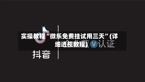 实操教程“微乐免费挂试用三天”(详细透视教程)-第2张图片