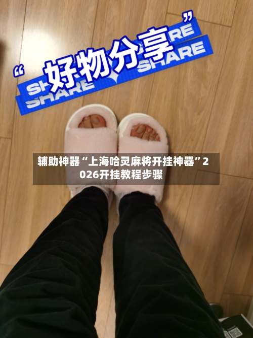 辅助神器“上海哈灵麻将开挂神器”2026开挂教程步骤-第3张图片