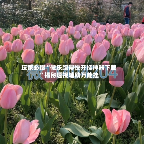 玩家必搜“微乐跑得快开挂神器下载”揭秘透视辅助万能挂-第2张图片