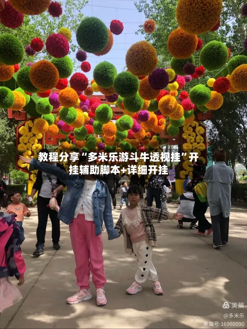 教程分享“多米乐游斗牛透视挂”开挂辅助脚本+详细开挂