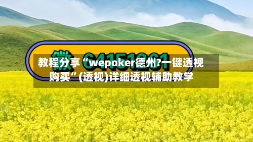 教程分享“wepoker德州?一键透视购买”(透视)详细透视辅助教学-第2张图片