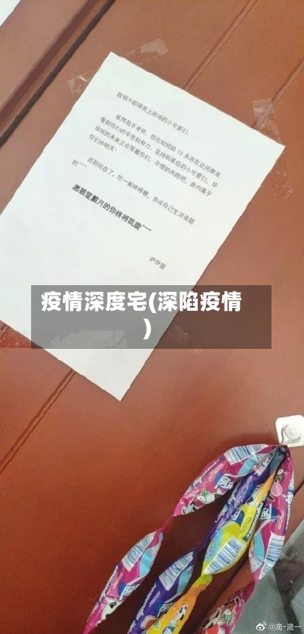 疫情深度宅(深陷疫情)-第2张图片