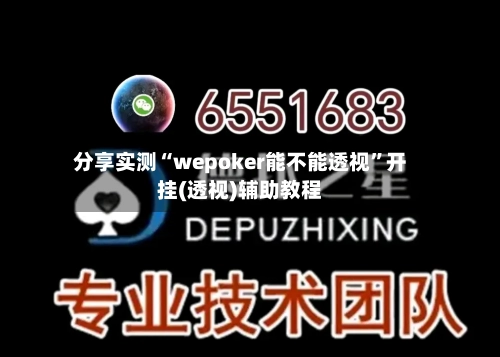 分享实测“wepoker能不能透视”开挂(透视)辅助教程-第3张图片