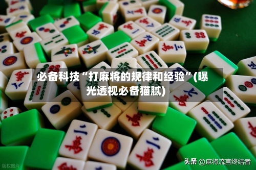 必备科技“打麻将的规律和经验”(曝光透视必备猫腻)-第2张图片