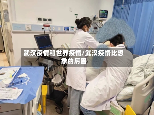 武汉疫情和世界疫情/武汉疫情比想象的厉害